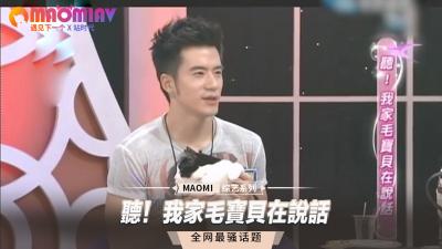 听!我家毛宝贝在说话.
